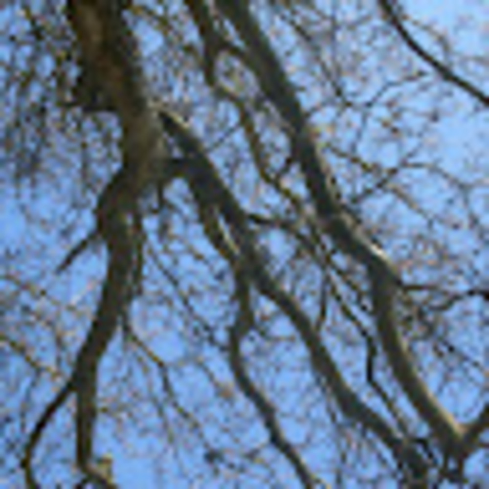 Meet your Posher, Bryonie